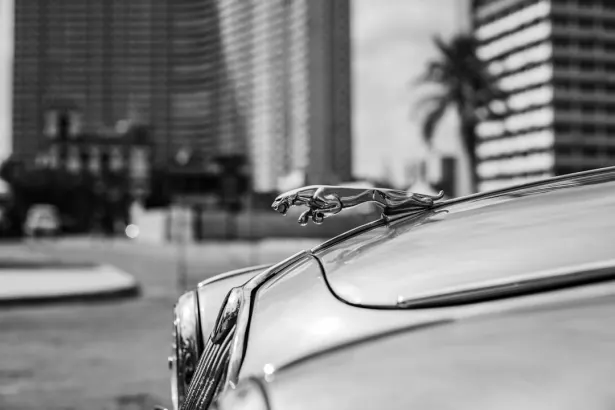 BetRegal Casino Android/iOS aplikacija